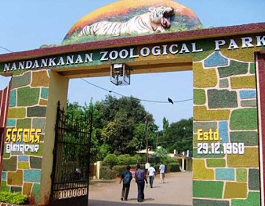 Nandankanan trip